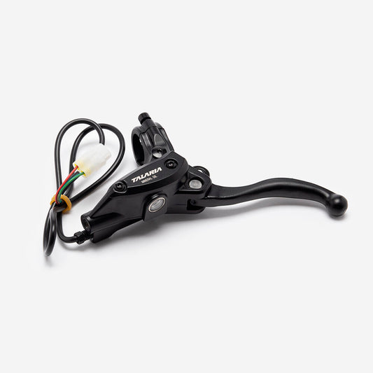 OEM Talaria Sting Full Rear Master Cylinder Brake Assembly